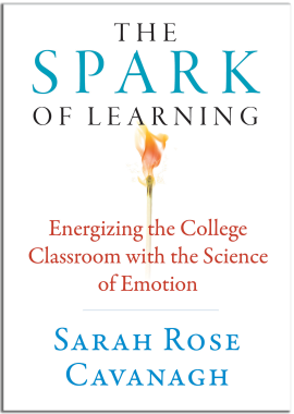 Book "The Spark of Learning"