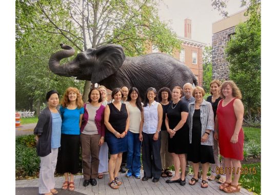 Photo of CDI participants from June 2015