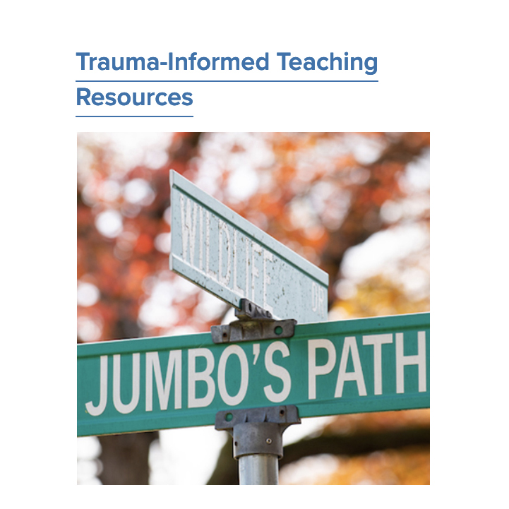 Trauma informed resources
