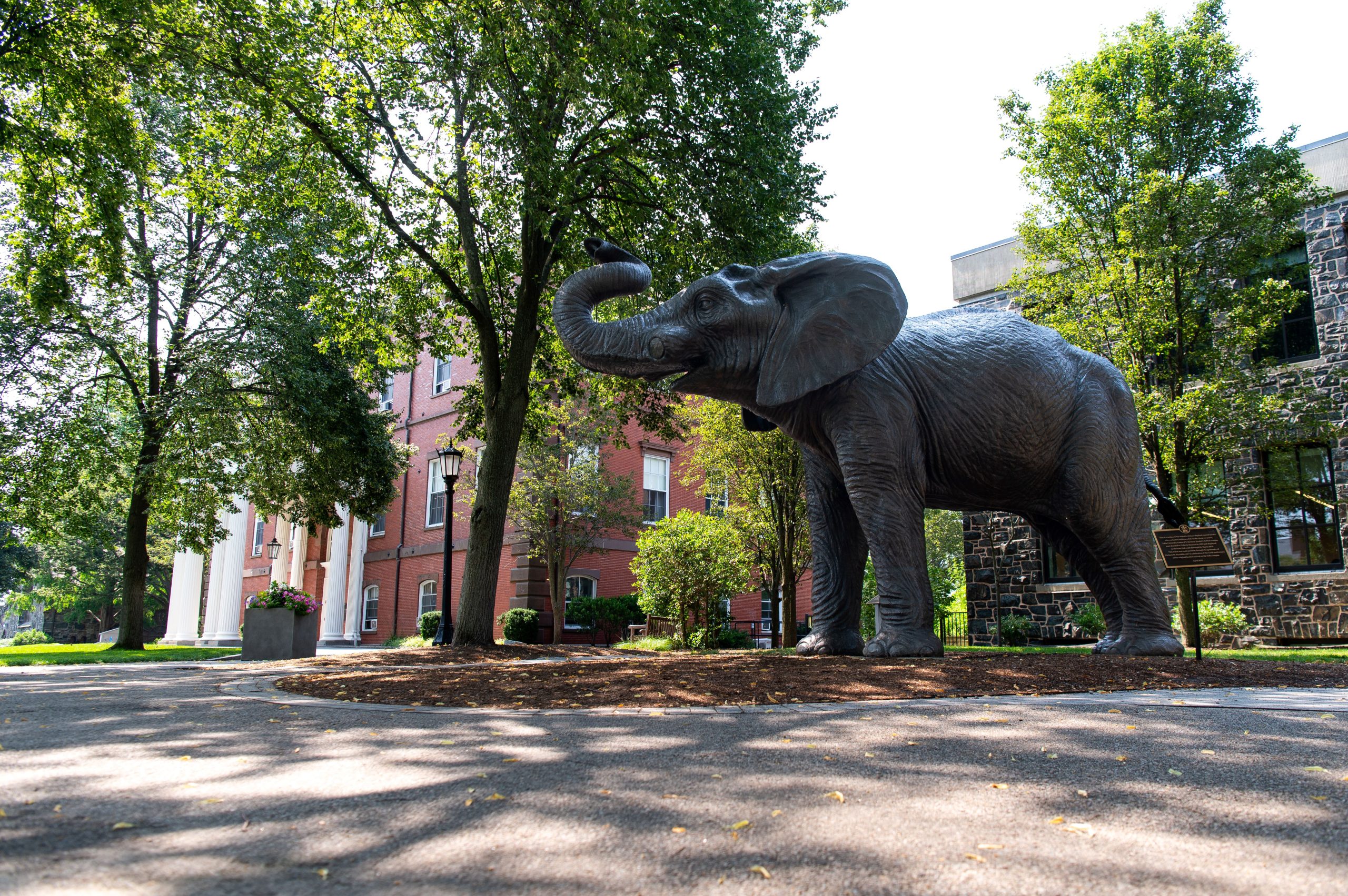 Tufts Jumbo Statue