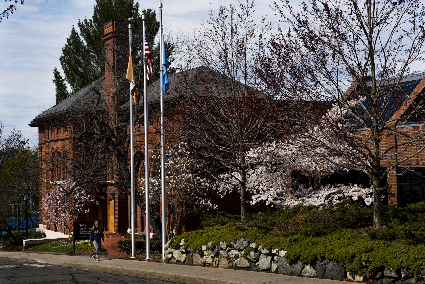 An image of a blossomed cherry tree at the exterior of the Packard Avenue entrance to the Fletcher School of Law and Diplomacy at Tufts University.