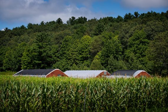 Field at the Friedman School's New Entry Farm