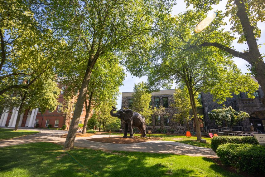 An image of the statue of Jumbo the elephant on the Tufts campus in Medford, Massachusetts.