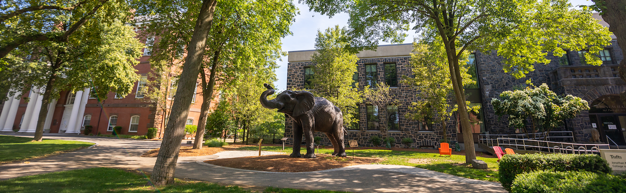 The statue of Jumbo the elephant sits in front of Barnum Hall on the Tufts University Medford/Somerville campus.