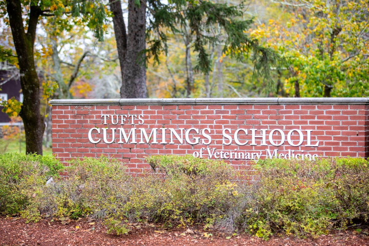 A sign for the Tufts University Cummings School of Veterinary Medicine.