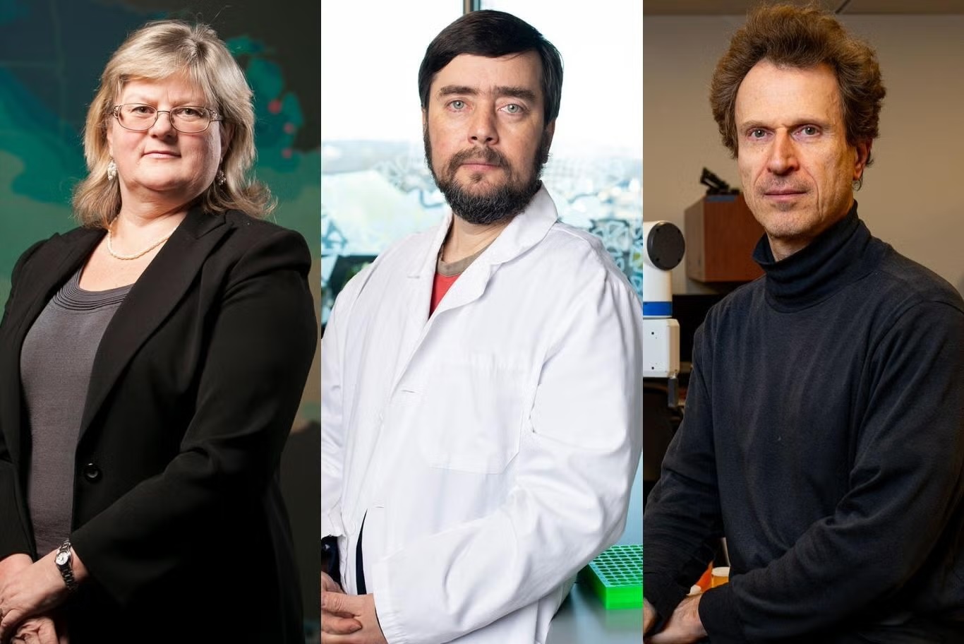 Photos of three professors side by side, Elena Naumova, Michael Levin, and Matthias Scheutz. They are named fellows of the American Association for the Advancement of Science