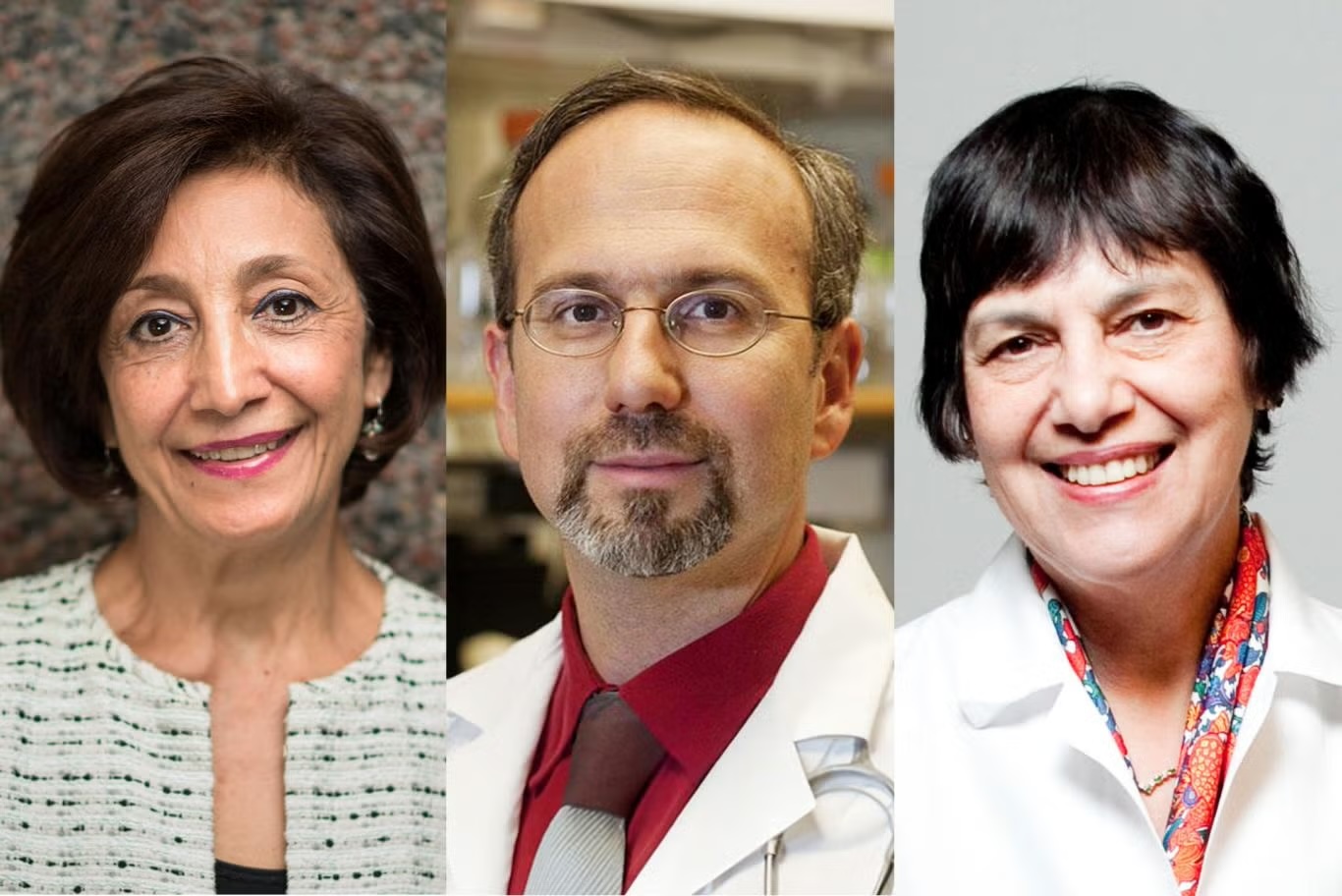 Newly named NAI senior members, from left, Simin Nikbin Meydani, Bruce Kristal, and Athena Papas.