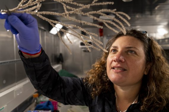 Randi Rotjan headshot