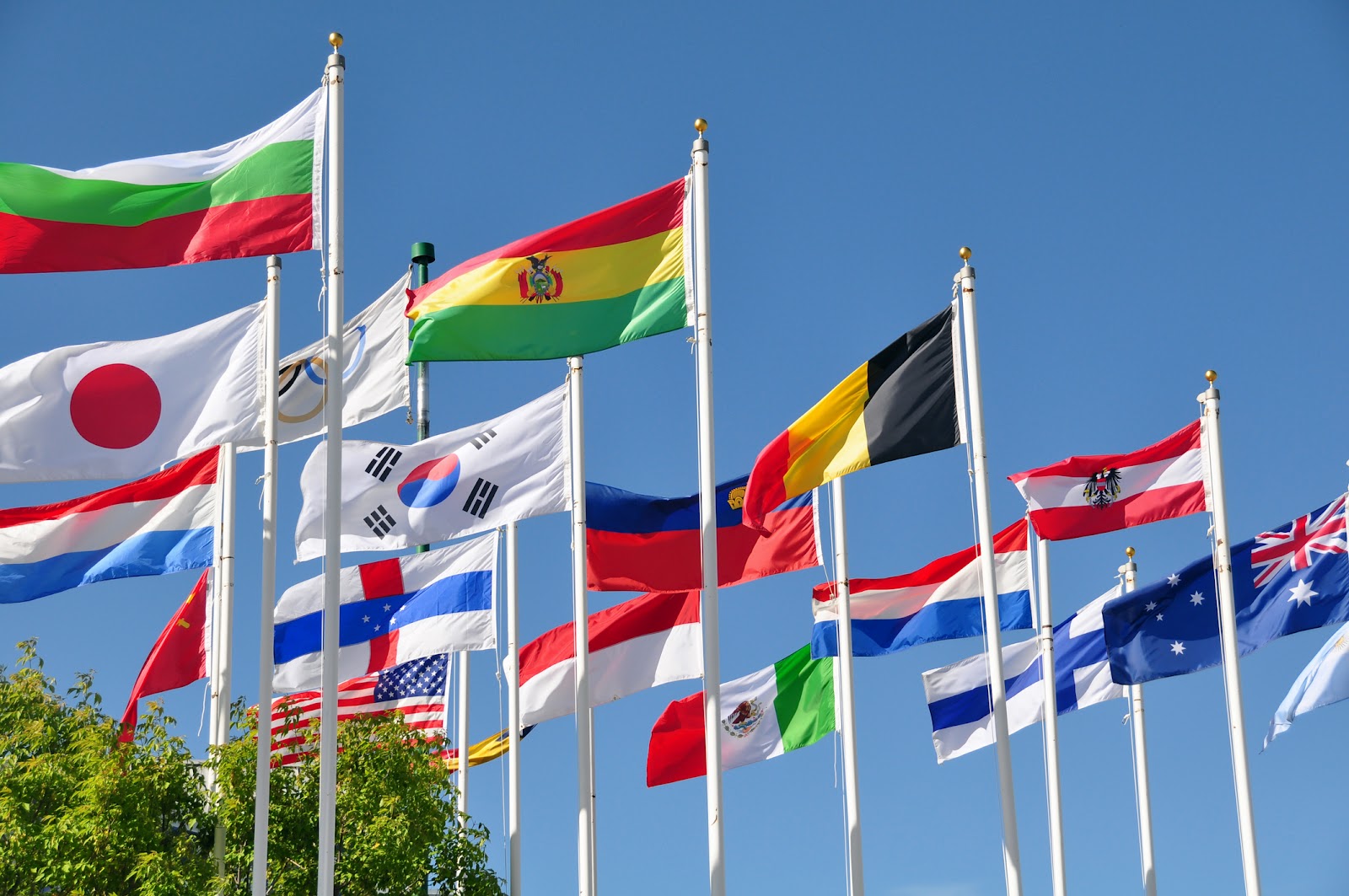 various flags of the world blowing in the breeze against a blue sky.
